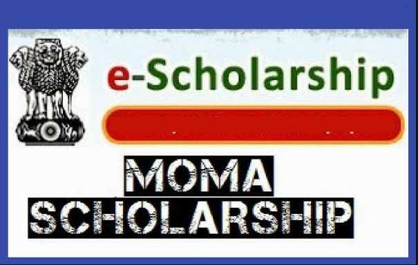 moma scholarship